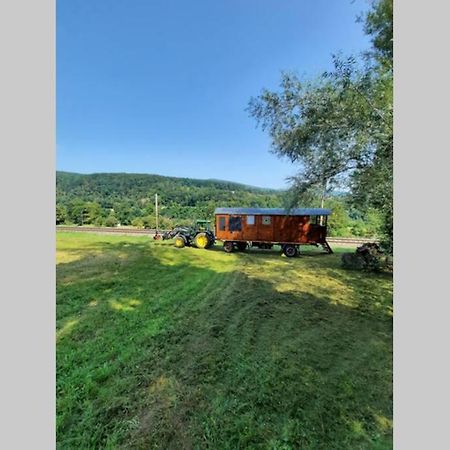 Autarkes Tiny House Mit Rheinblick Apartment Rumikon Bagian luar foto