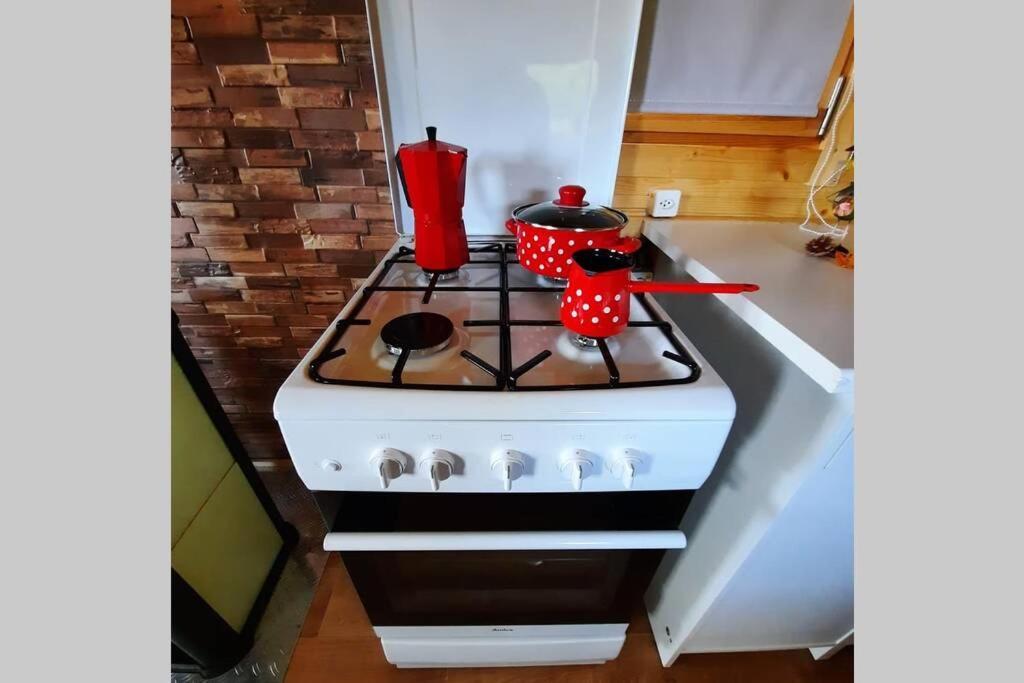 Autarkes Tiny House Mit Rheinblick Apartment Rumikon Bagian luar foto
